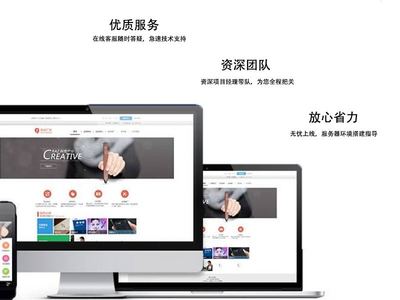 深圳服务大咖_扩展网站功能,接入微信支付宝支付。微信扫码登录功能,财务系统对接等