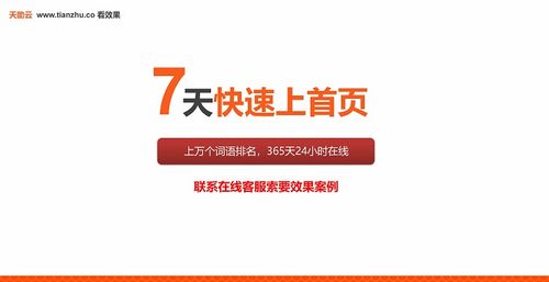 整站优化公司哪些好 深圳优化公司 天助网真正霸屏