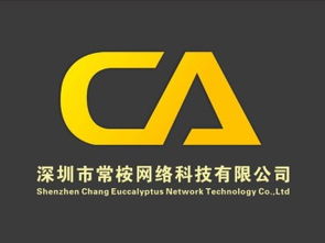 图 首选深圳常桉网站建设 seo优化公司 网站推广 深圳网络维护 布线
