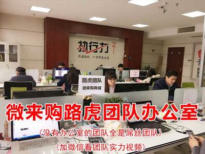 微来购路虎团队实力怎么样?做微来购找路虎团队初欣_深圳热线