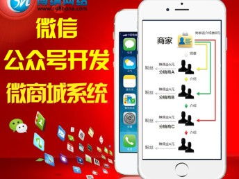图 深圳专业定制小程序 网站 推广 深圳网站建设推广