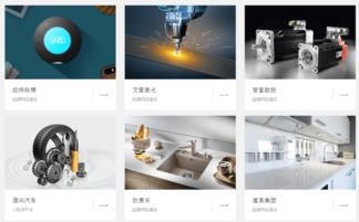 企业网站建设 腾鸽信息 网站建设