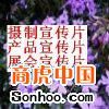 深圳华视光线影视制作公司-供应通讯企业宣传片拍摄宣传片制作网页制作网站推广品牌策划