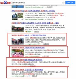 深圳南山网站关键词推广公司 积极进取的工作态度